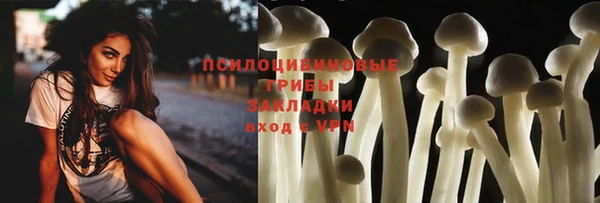 ГАЛЛЮЦИНОГЕННЫЕ ГРИБЫ Лихославль