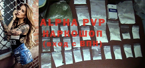 тгк Магас