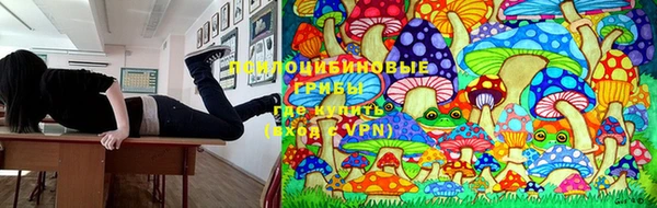мяу мяу мука Майский