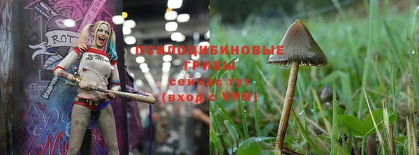 тгк Магас