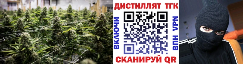 дарнет шоп  Краснослободск  ТГК гашишное масло 